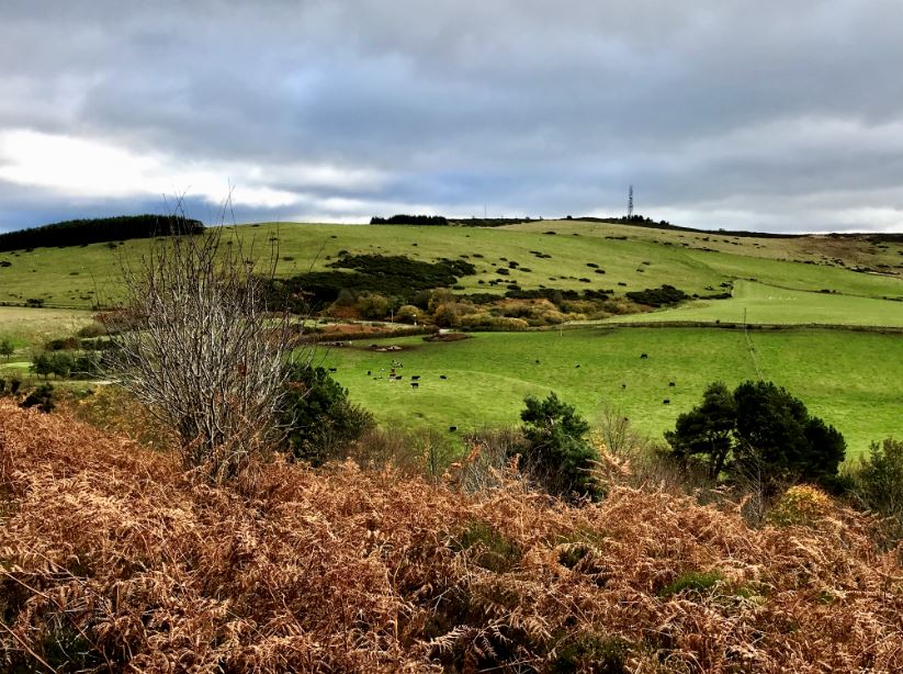 (034) Craibstone-Elrick and Brimmond Hills Circular (Aberdeen)